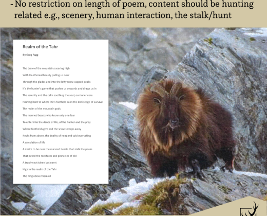 3. Halcyon Publishing Trophy