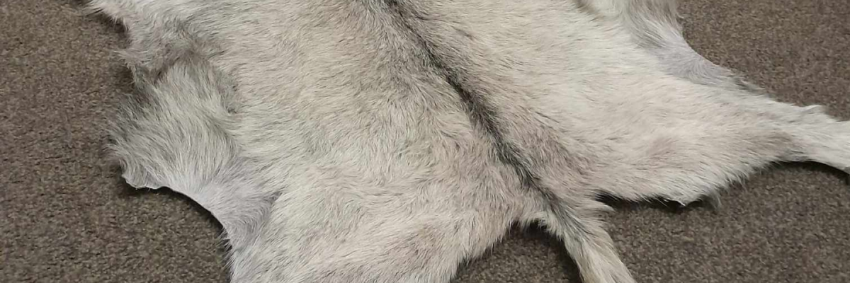 A Guide To Tanning Skins At Home