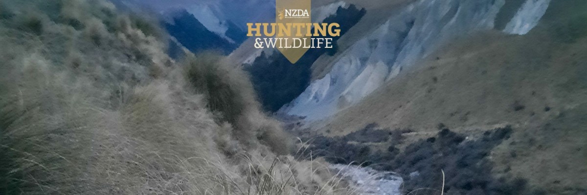 Wallabies within hopping distance of your happy hunting grounds